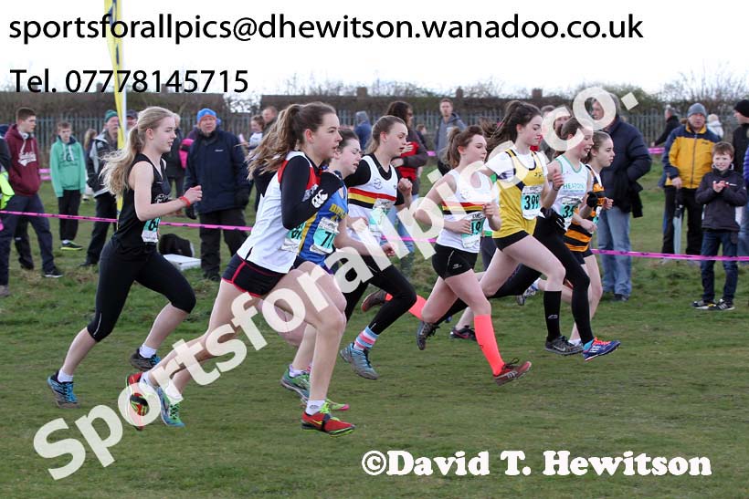 Under-15 girls  NEHL Wrekenton, Gateshead. 2014 NEH, Wrekenton. Photo: David T. Hewitson/Sports for All Pics